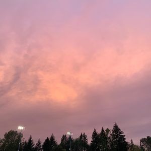 Meet your Posher, Jane